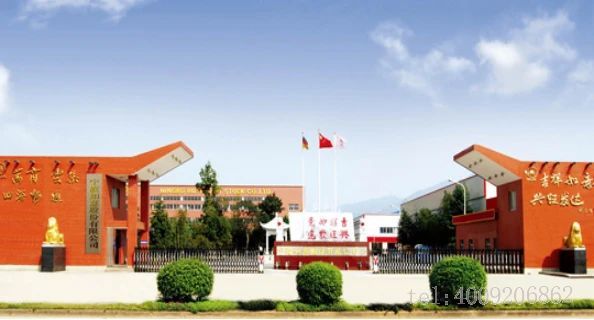 寧波品牌百優案例 ‖ 寧波如意：實施科學創新戰略，建樹百年西林品牌(圖1)